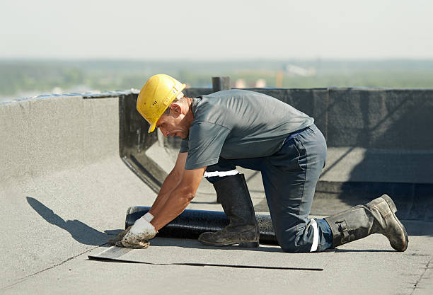 Professional Insulation Contractor in MS